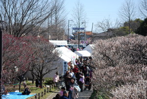 越谷梅林公園梅祭り