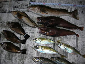 釣り納め